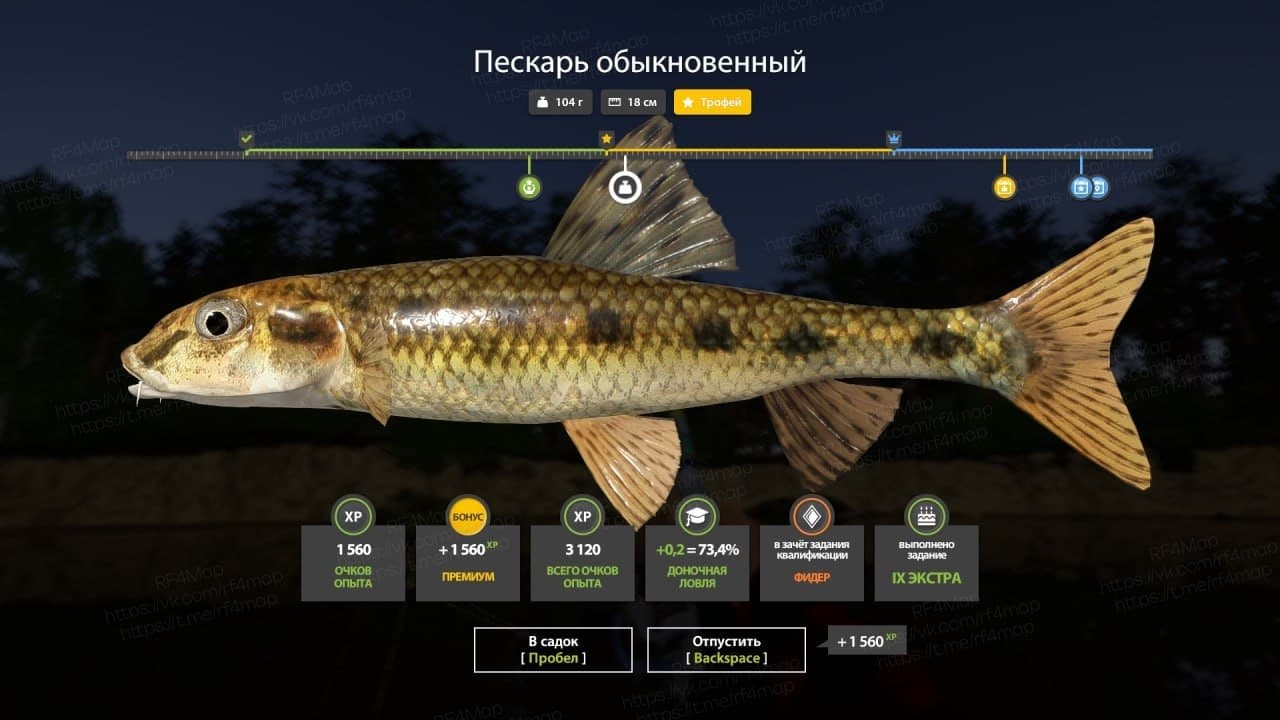 р. Вьюнок: трофей