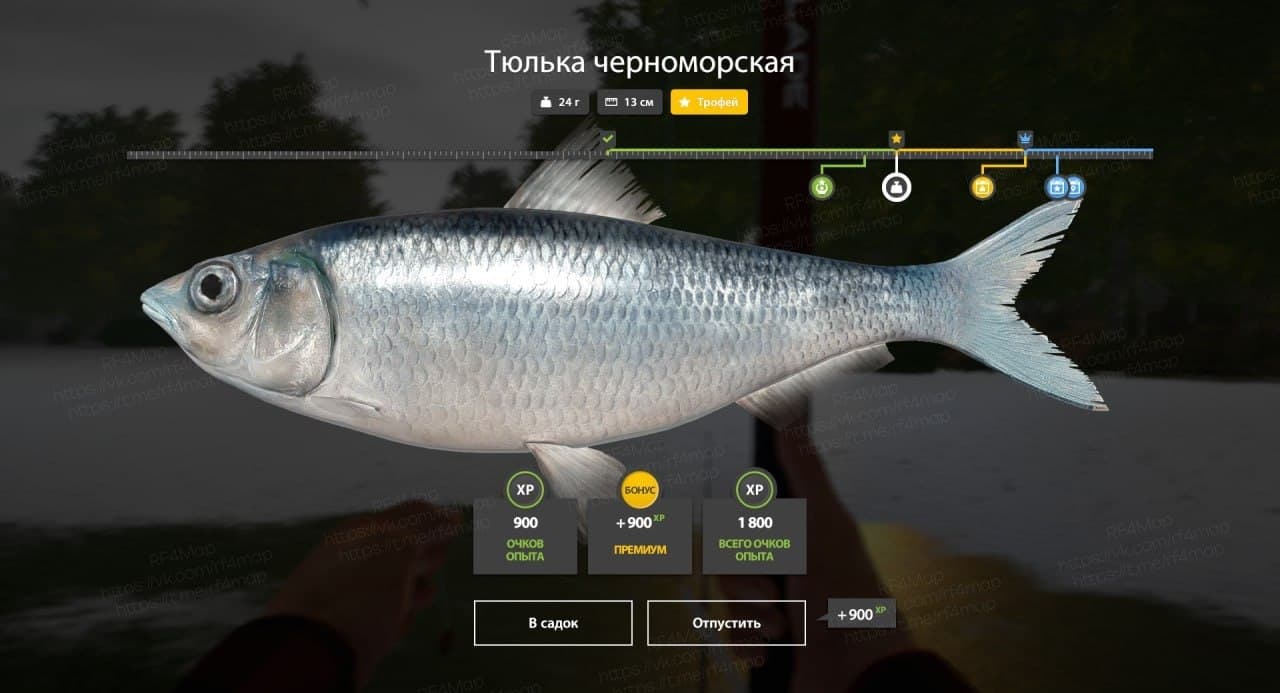 р. Северский Донец: трофей