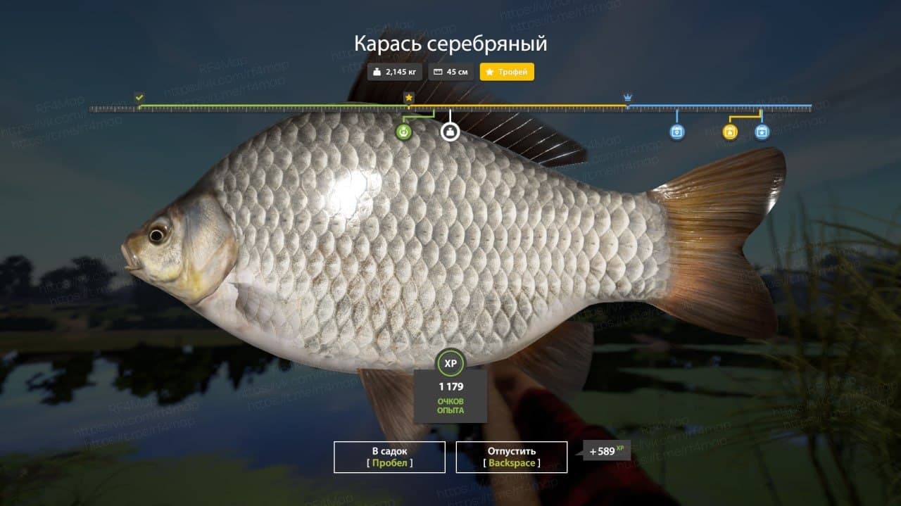 оз. Старый Острог: трофей