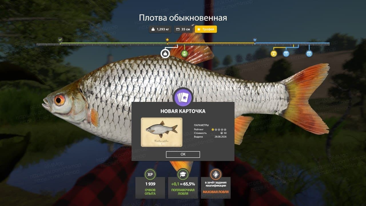 р. Северский Донец: трофей