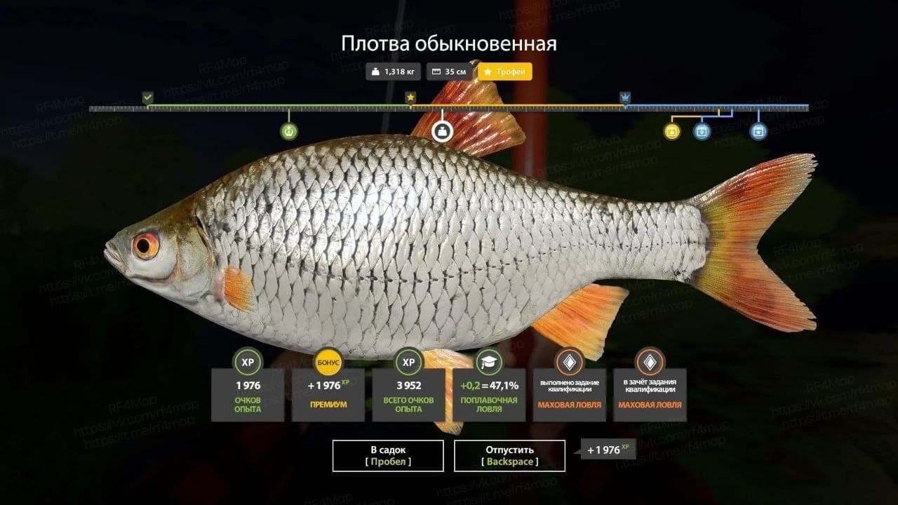 р. Северский Донец: трофей
