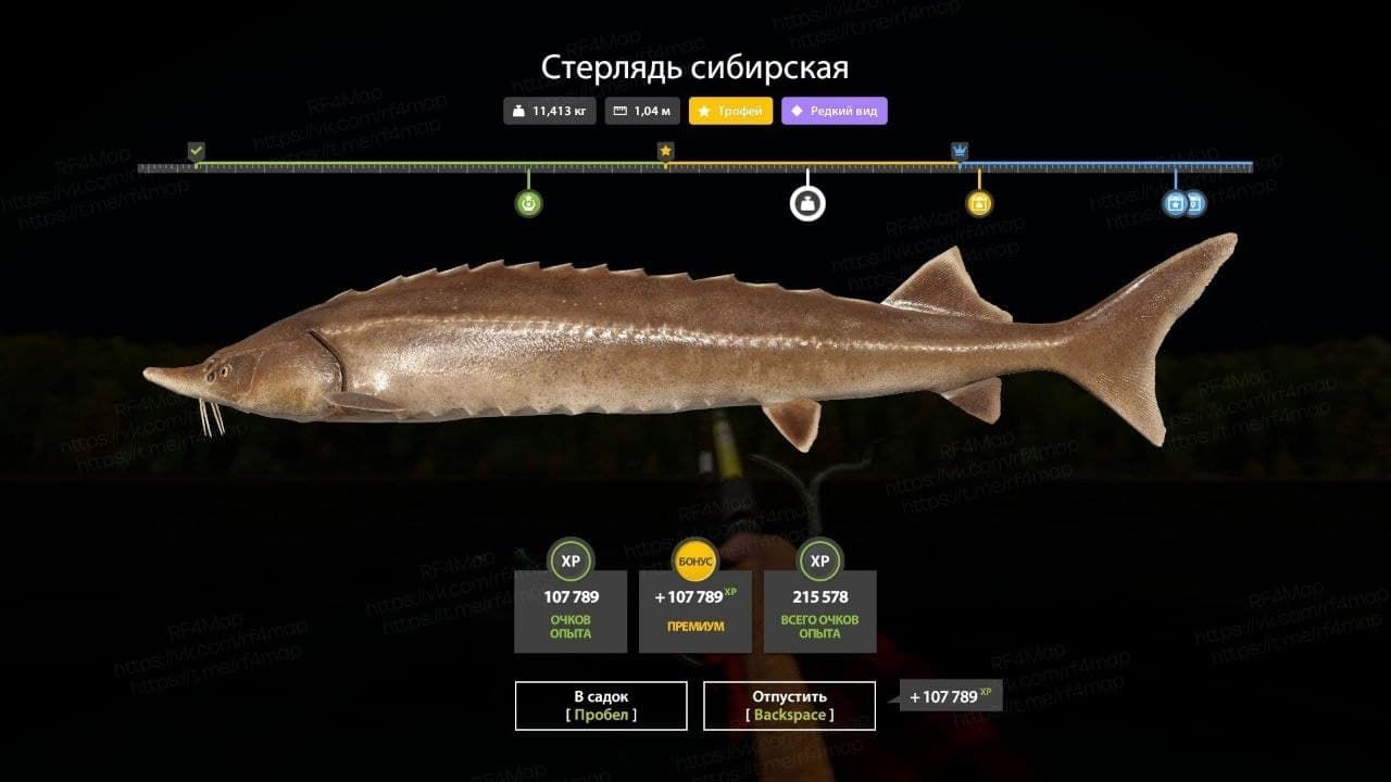р. Нижняя Тунгуска: трофей