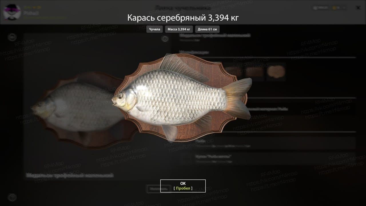 оз. Комариное: трофей