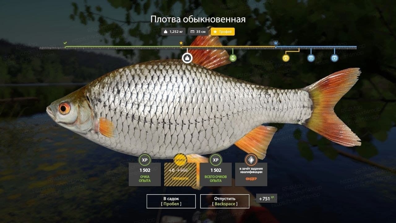 оз. Комариное: трофей