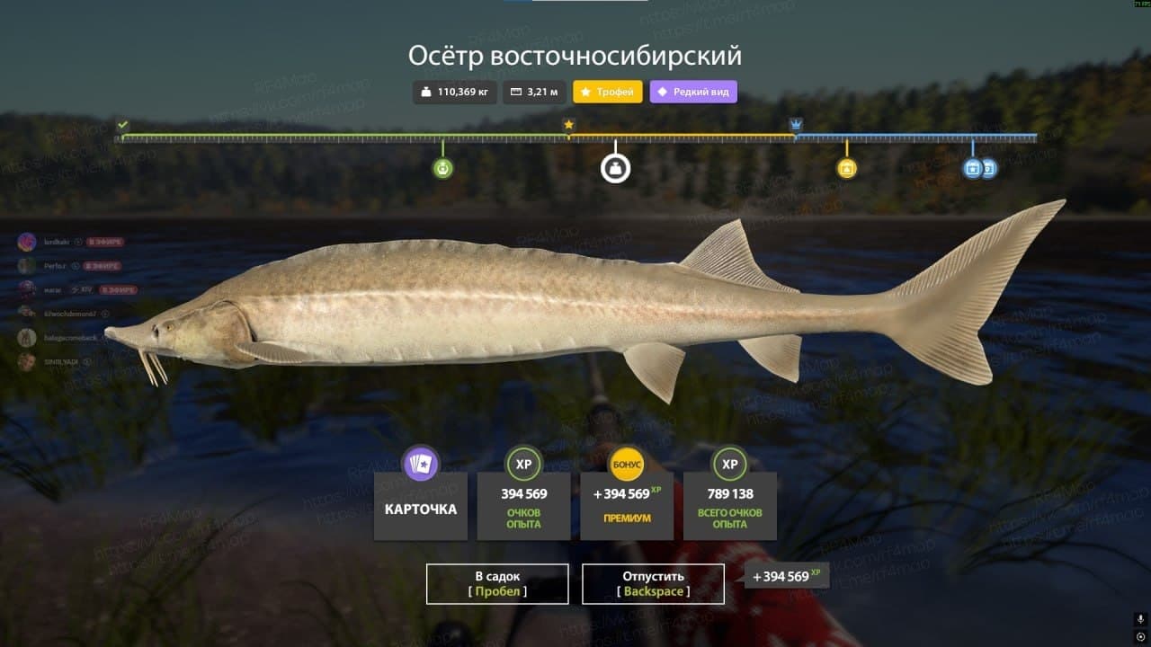 р. Нижняя Тунгуска: трофей, уникальное