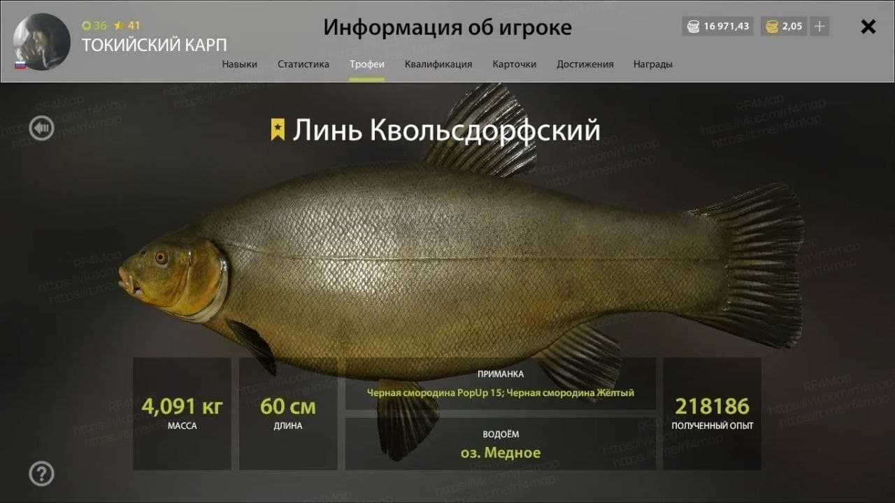 оз. Медное: фарм, трофей
