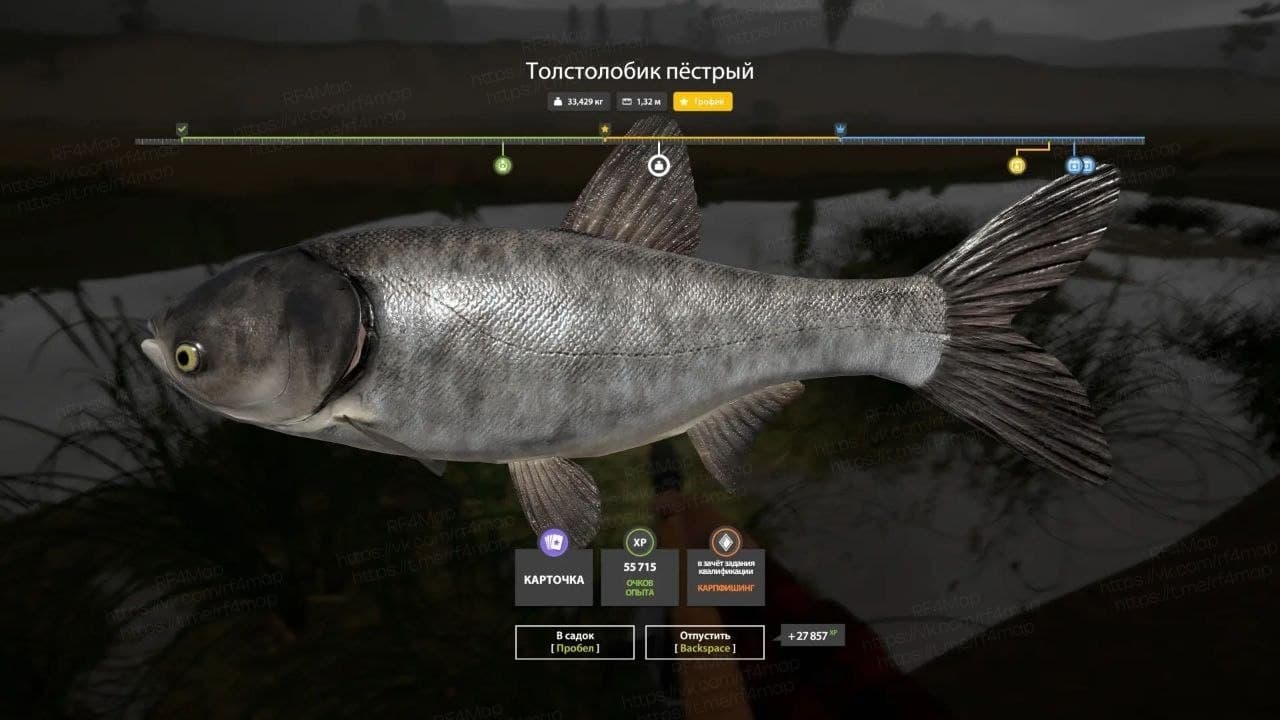 р. Сура: трофей