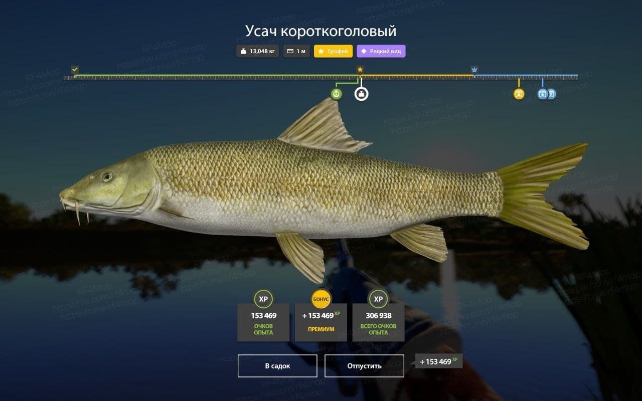 р. Ахтуба: трофей