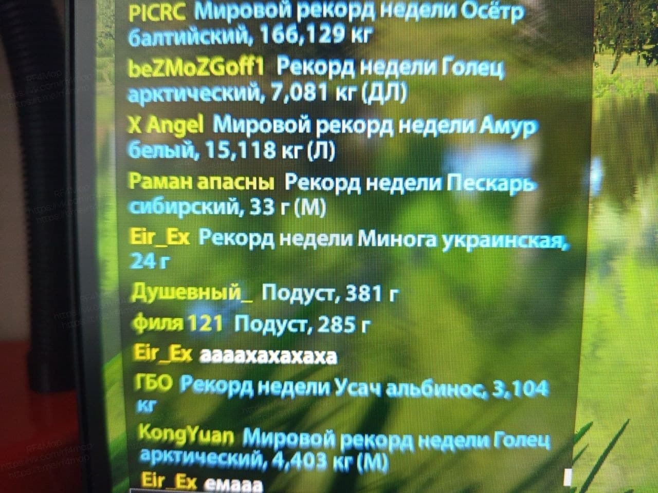 р. Северский Донец: уникальное
