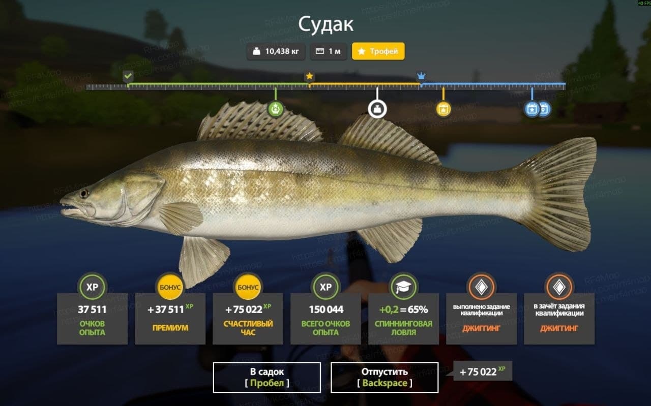 р. Сура: трофей
