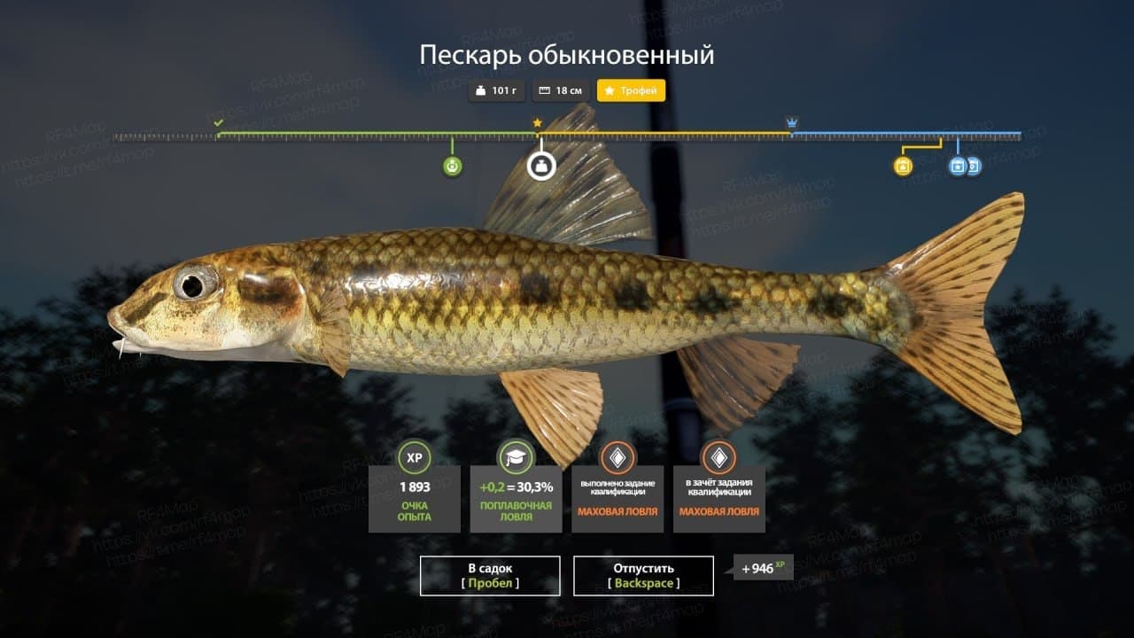 р. Вьюнок: трофей