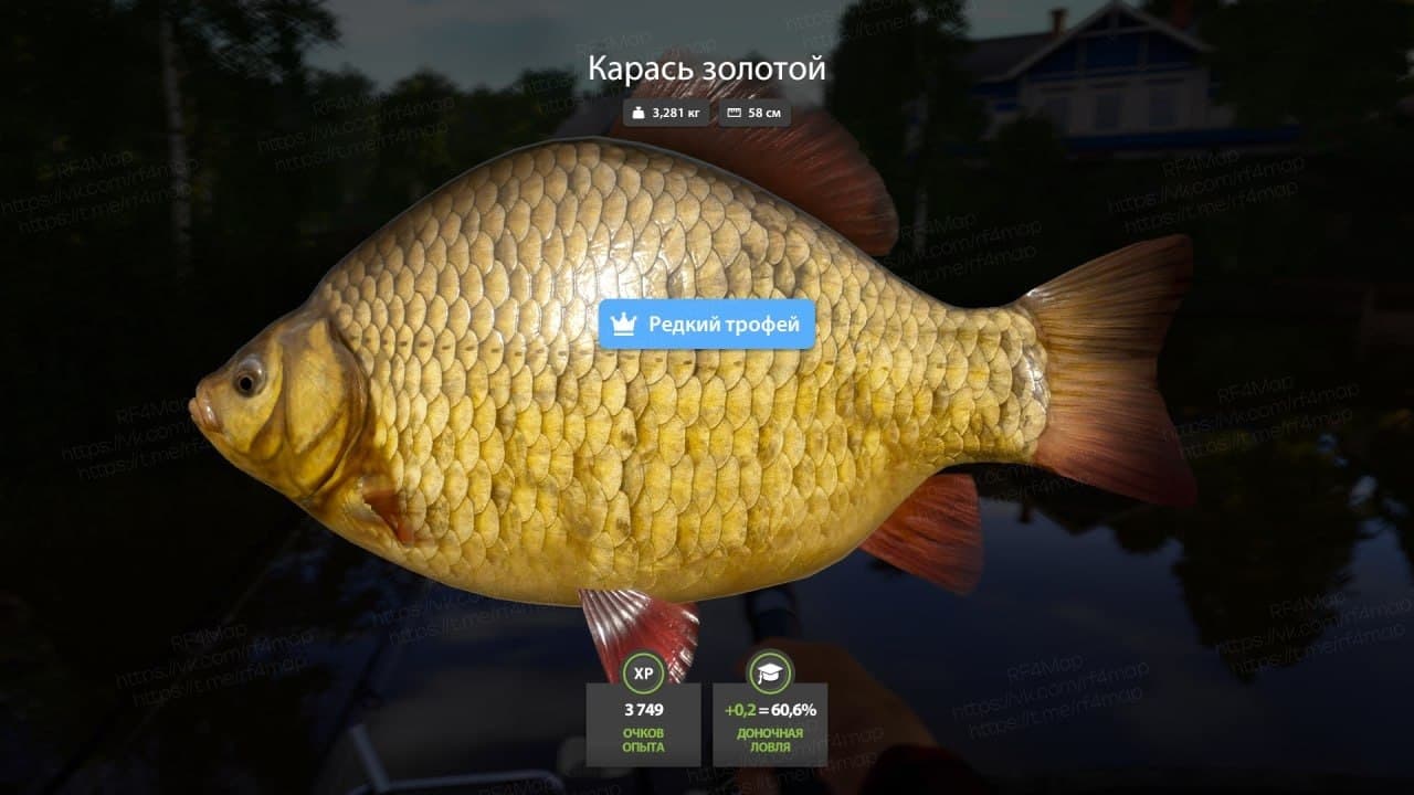 оз. Комариное