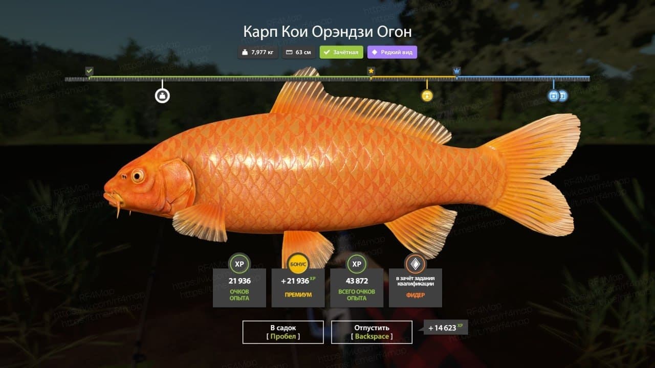 оз. Медное: фарм