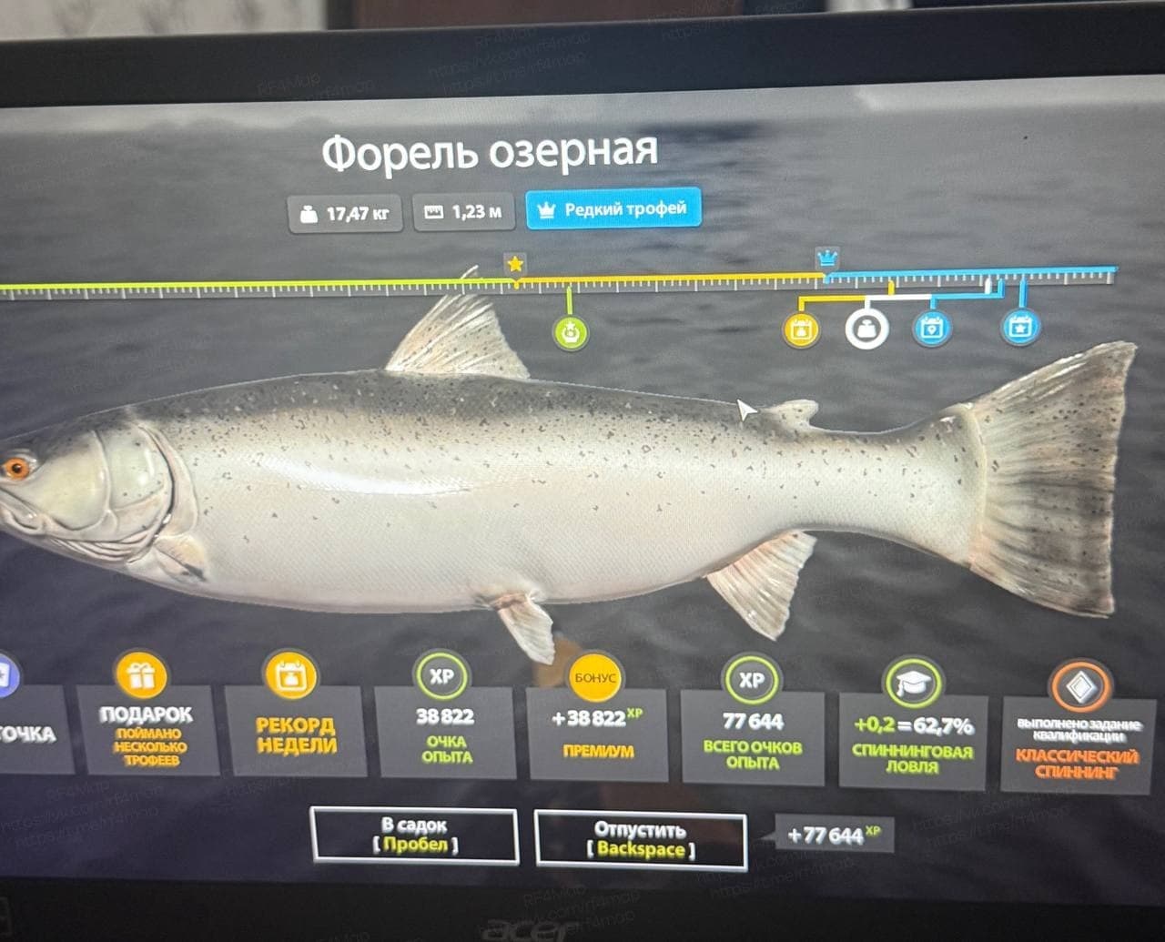 Ладожский архипелаг: трофей