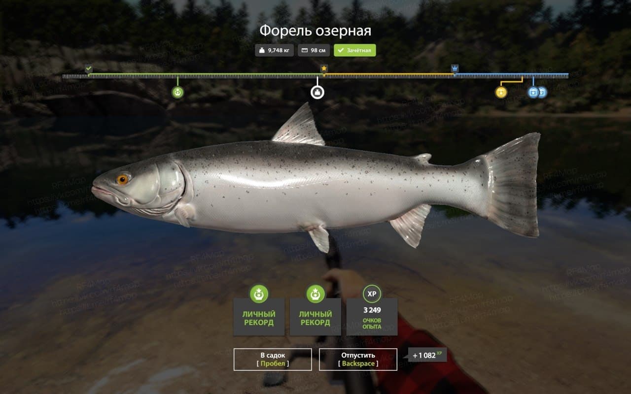оз. Куори: фарм