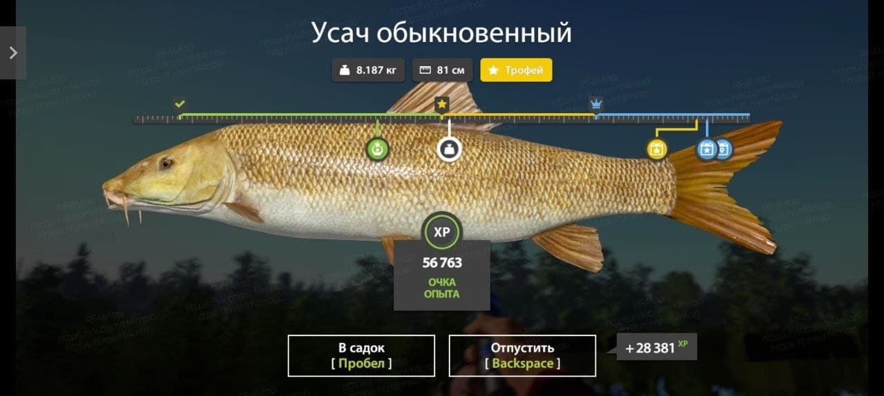 оз. Медвежье: трофей