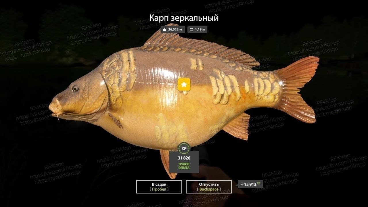 оз. Янтарное: фарм