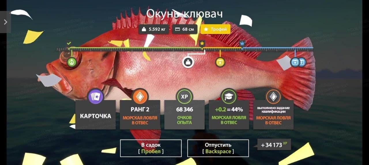 Норвежское море: трофей
