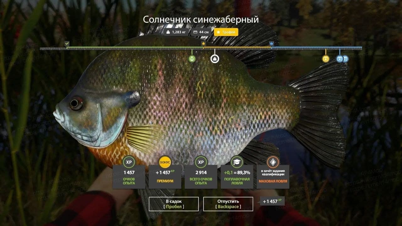 оз. Лосиное: трофей