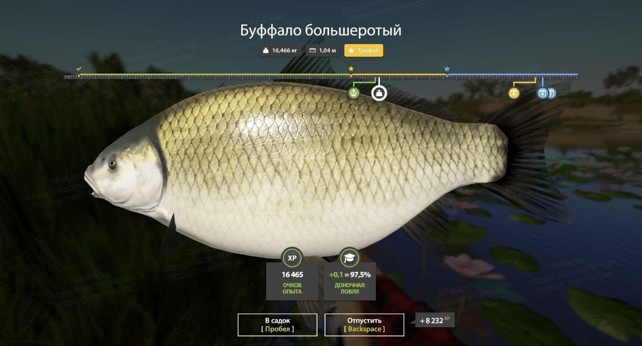 р. Ахтуба: фарм, трофей
