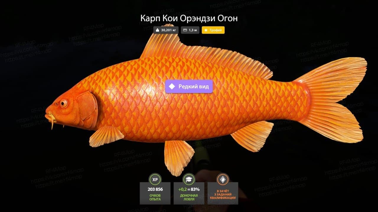 оз. Медное: трофей