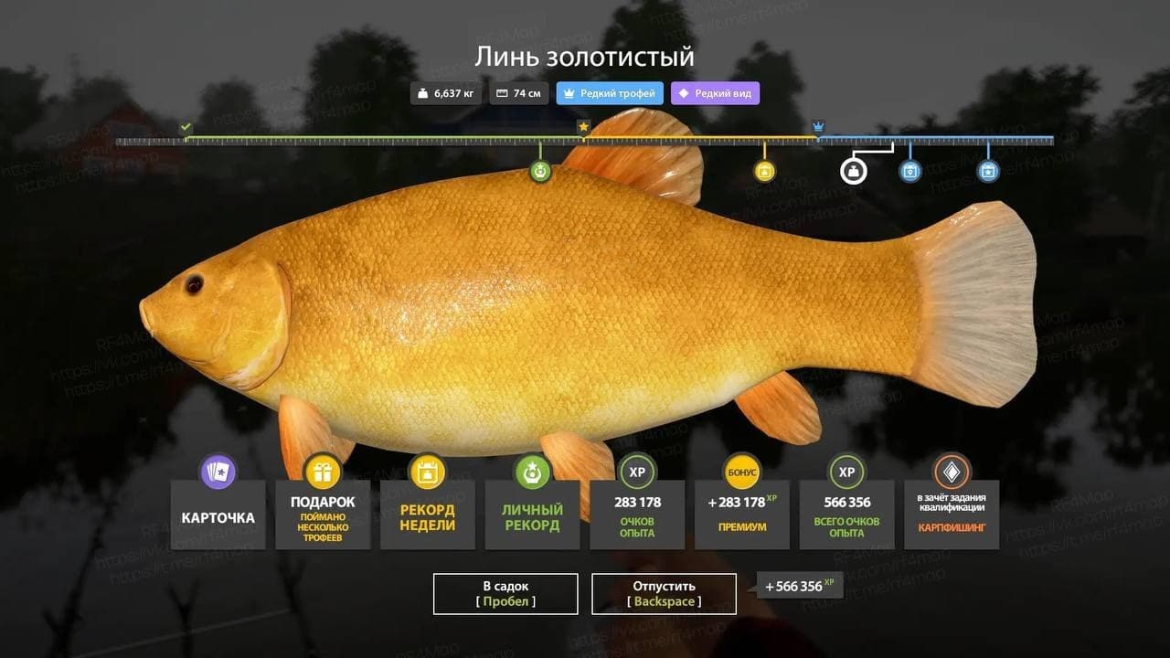 оз. Комариное: трофей