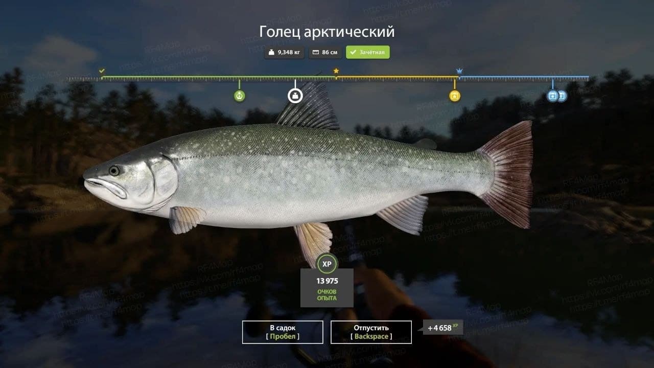 оз. Куори: трофей, уникальное