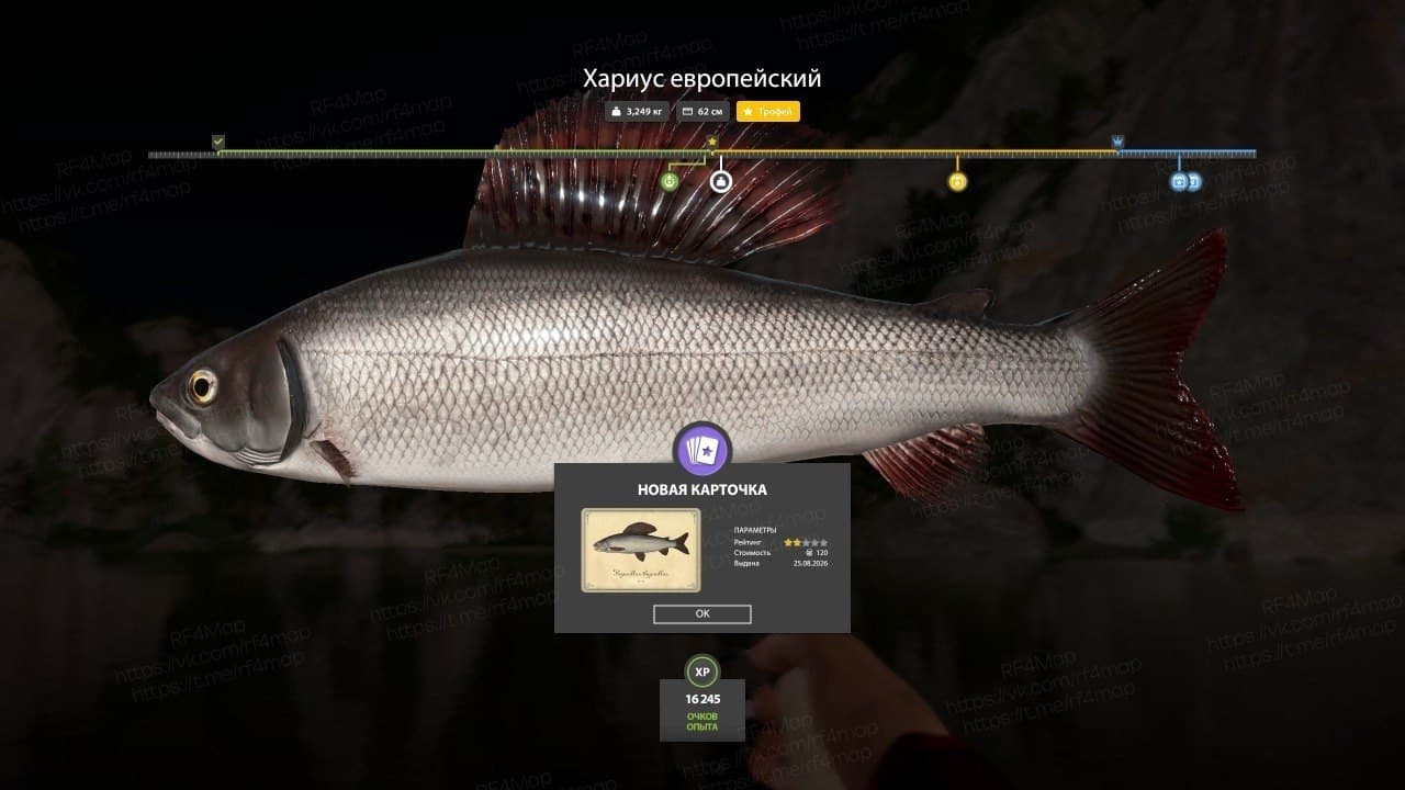 р. Белая: трофей