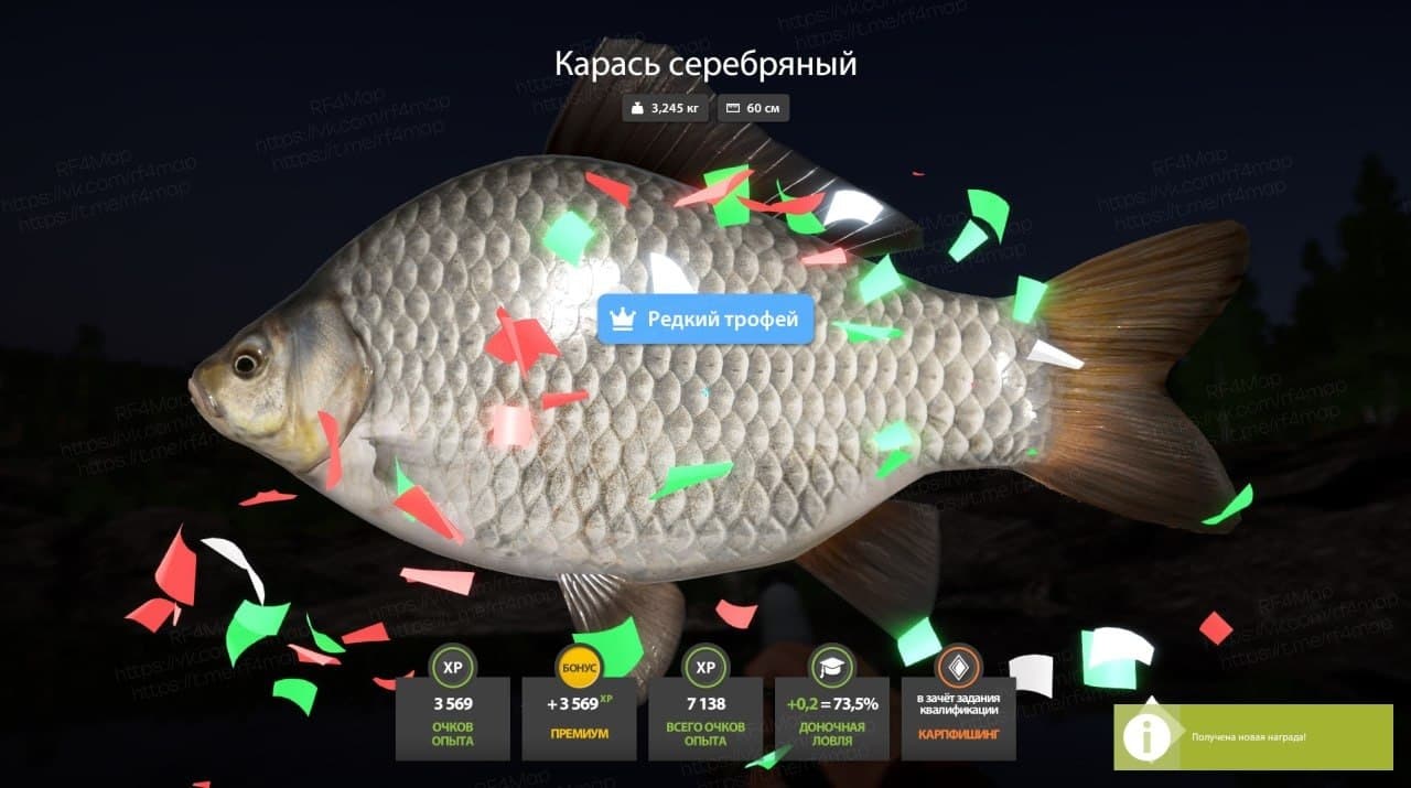 Ладожское оз.