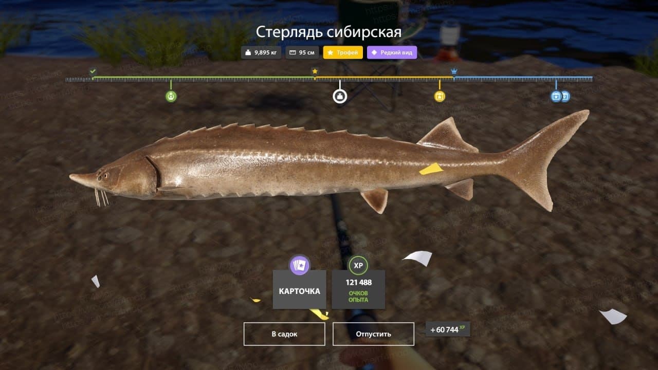р. Нижняя Тунгуска: трофей, уникальное