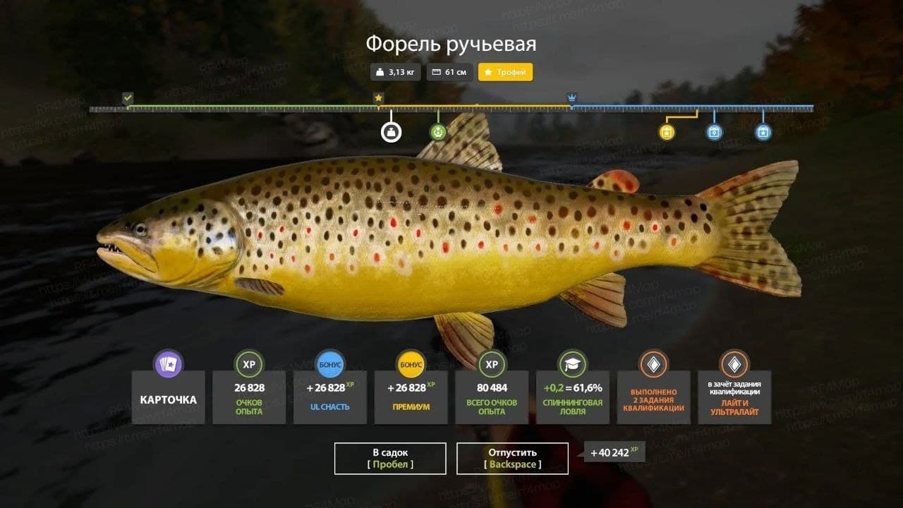 р. Нижняя Тунгуска: трофей, квалификация