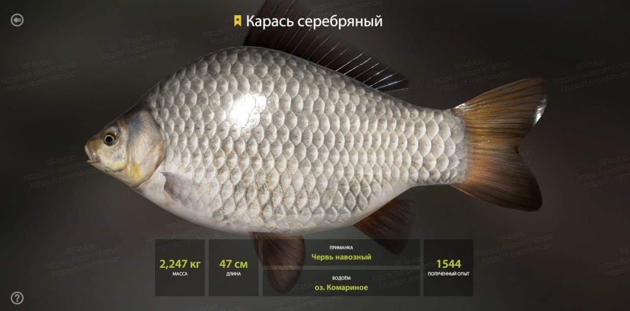 оз. Комариное: трофей
