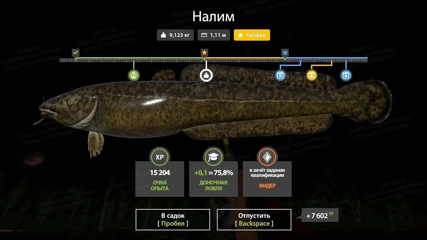 оз. Старый Острог: трофей