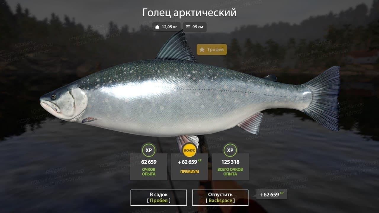 оз. Куори: трофей