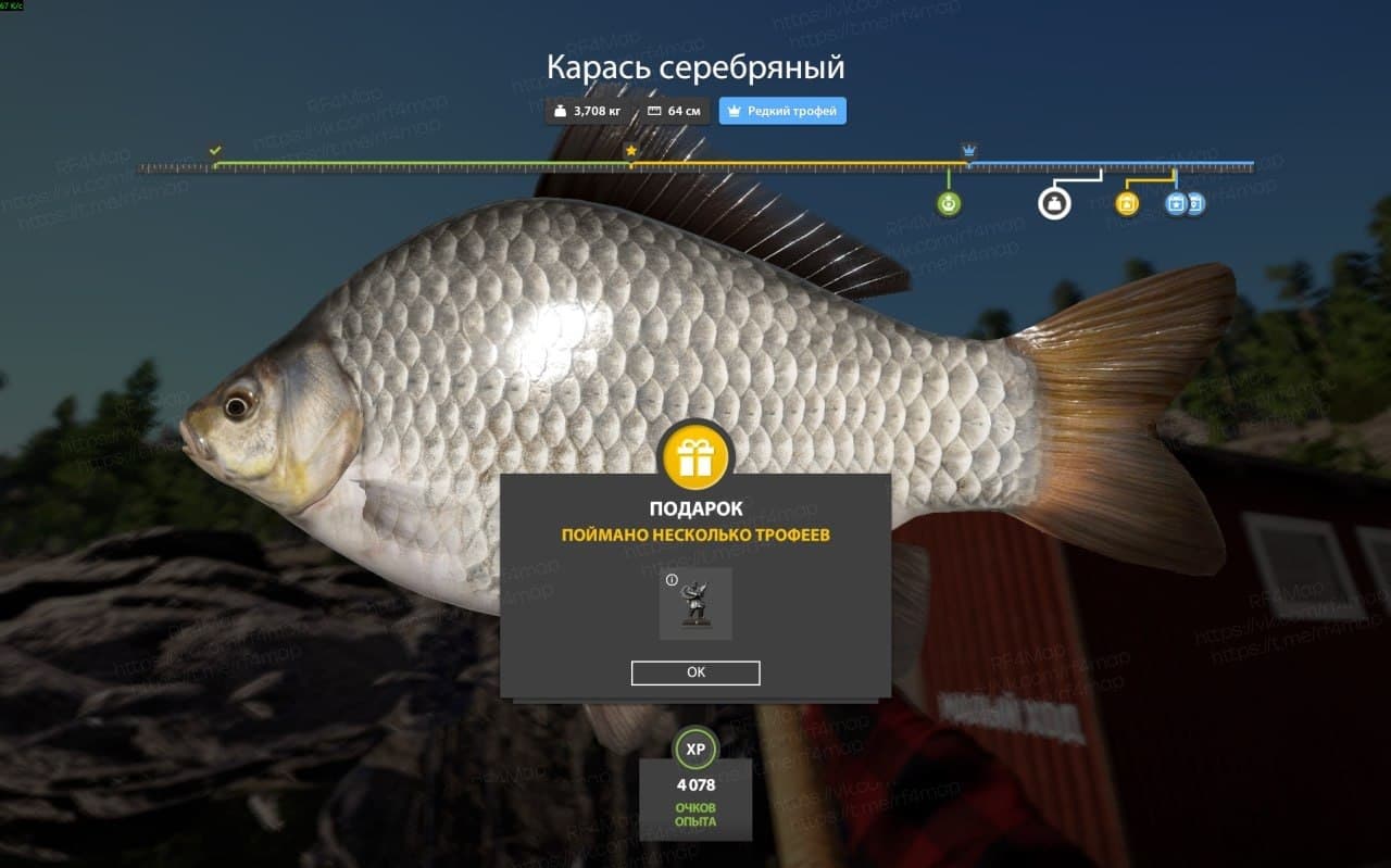 Ладожское оз.: трофей