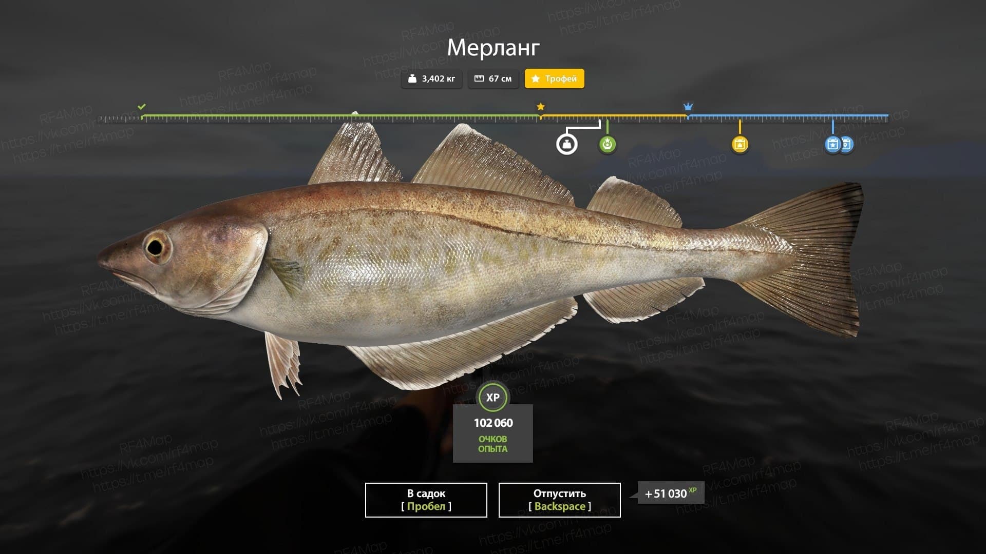 Норвежское море: трофей