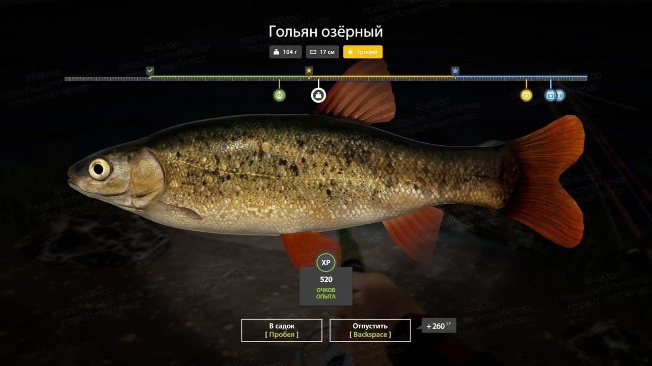 р. Нижняя Тунгуска: трофей