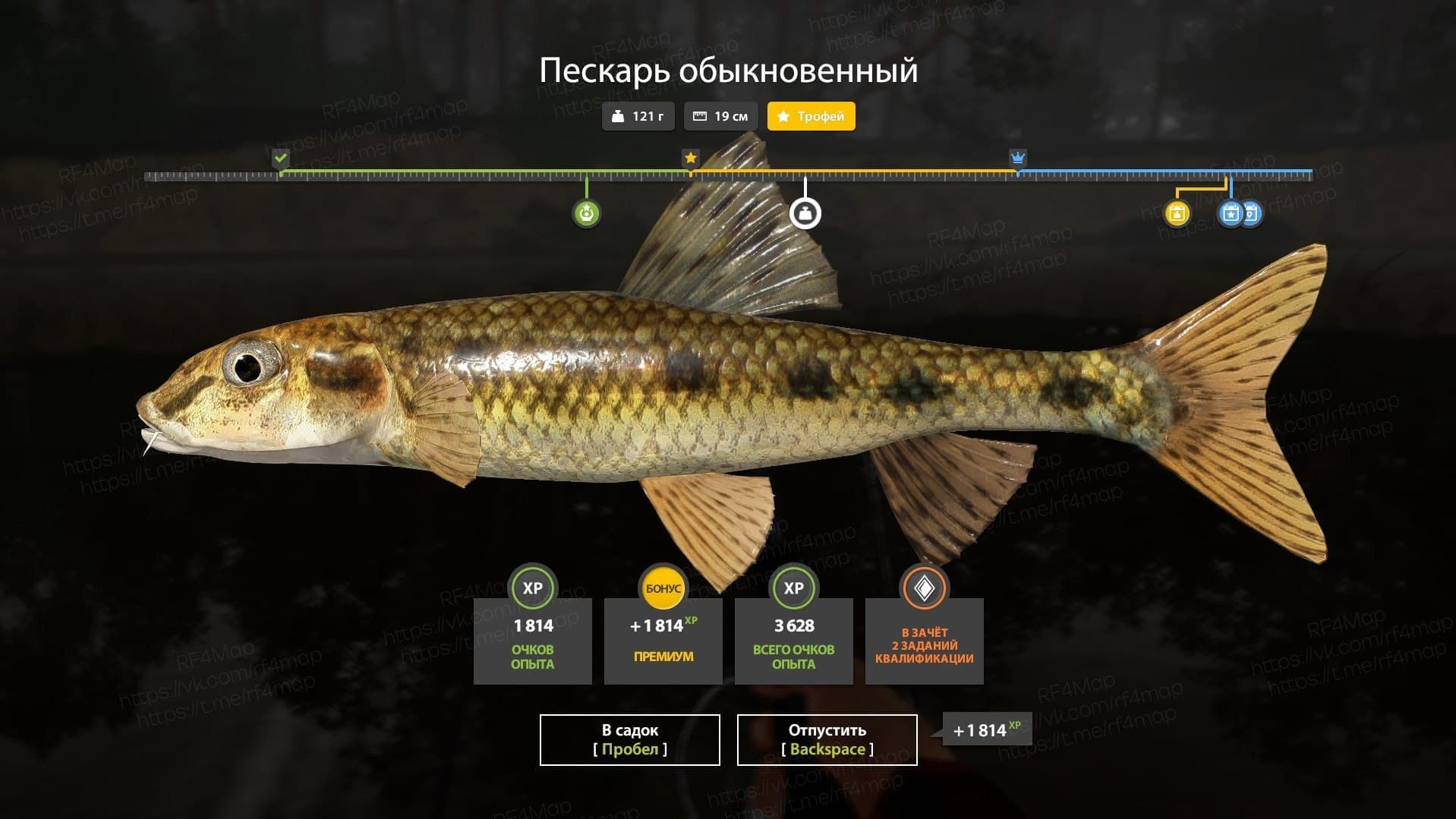 р. Вьюнок: трофей
