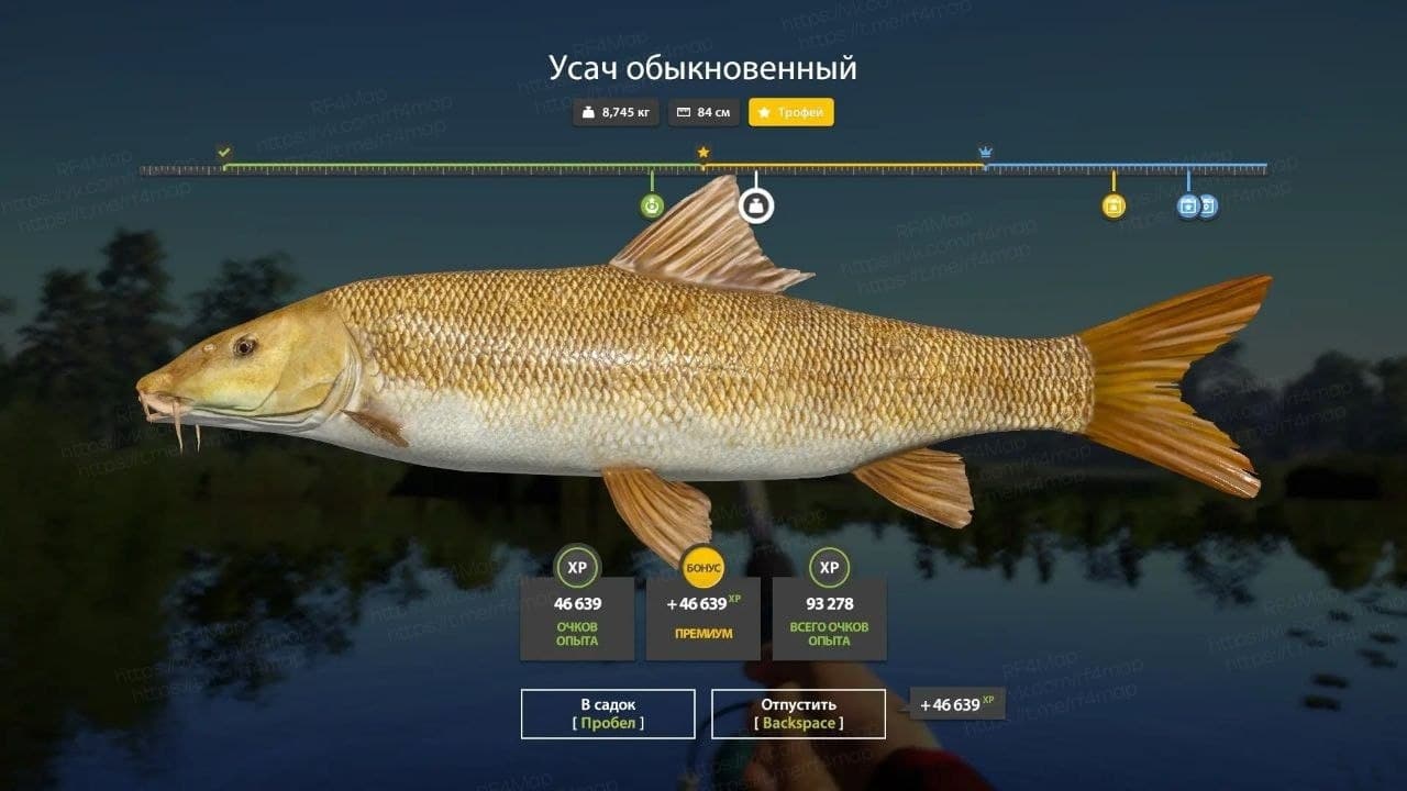 оз. Медвежье: трофей