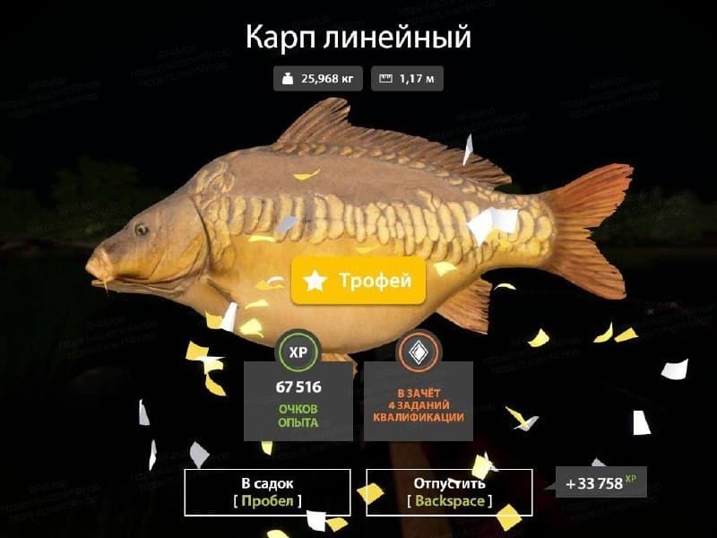оз. Янтарное: трофей