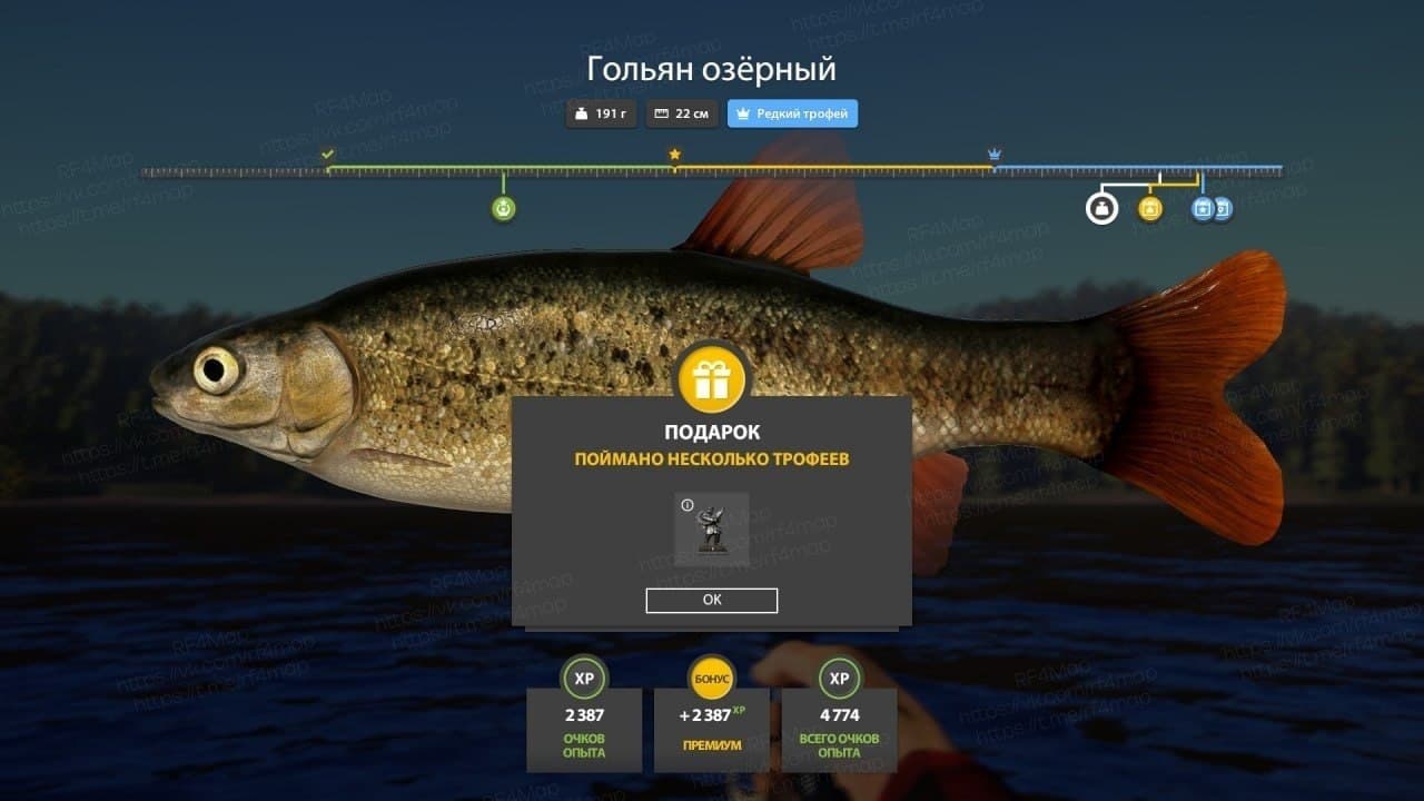 р. Нижняя Тунгуска: уникальное, трофей