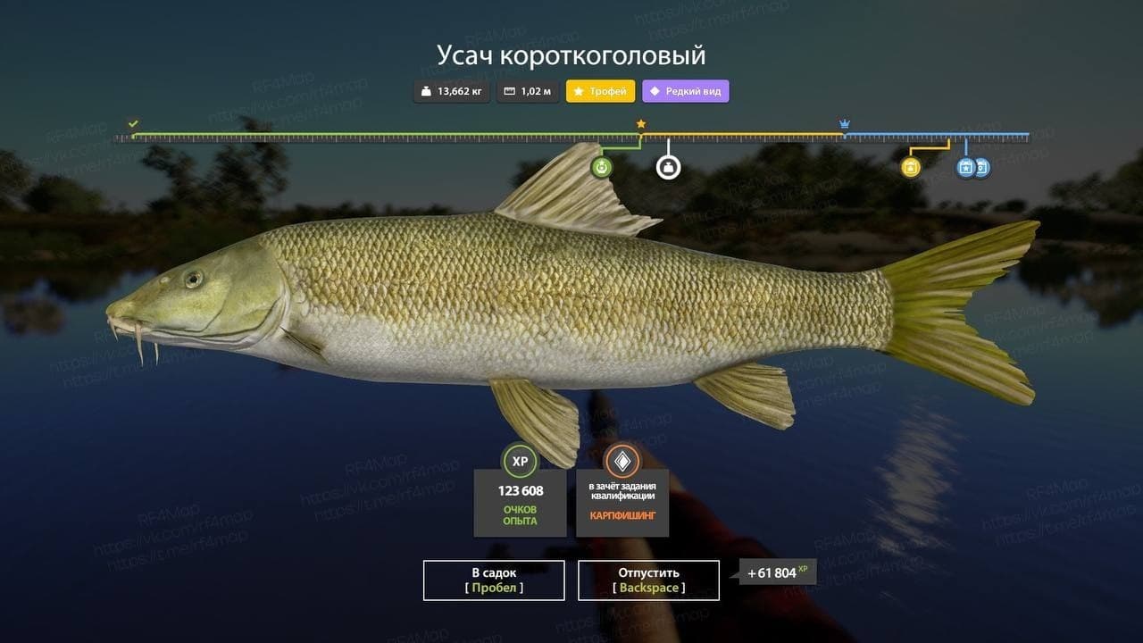 р. Ахтуба: трофей, уникальное