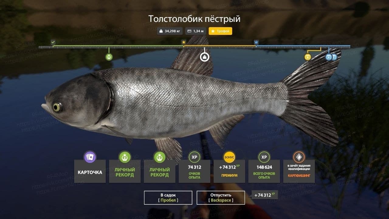 р. Сура: трофей