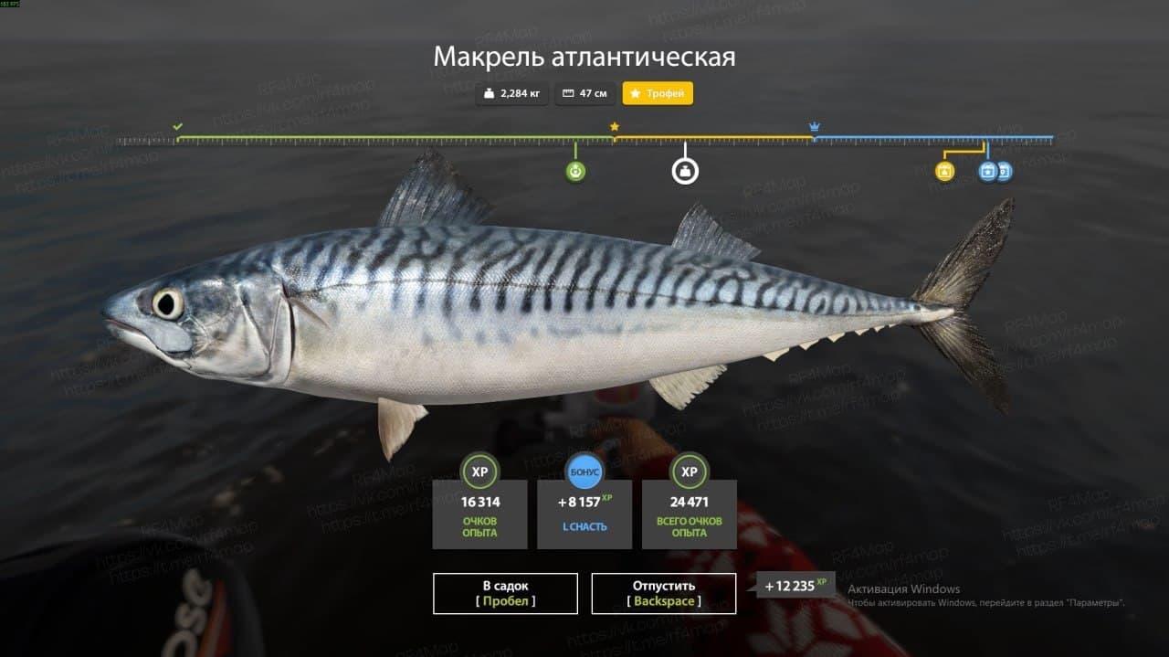 Норвежское море: трофей, фарм