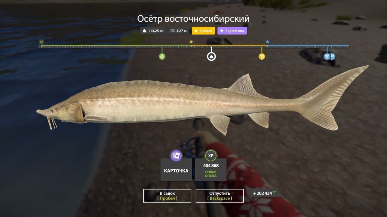 р. Нижняя Тунгуска: трофей