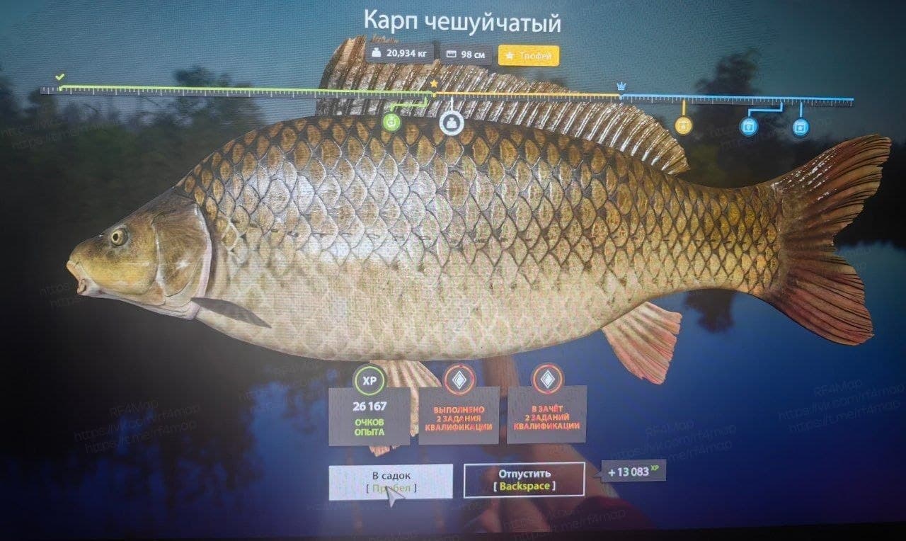 оз. Медвежье: трофей