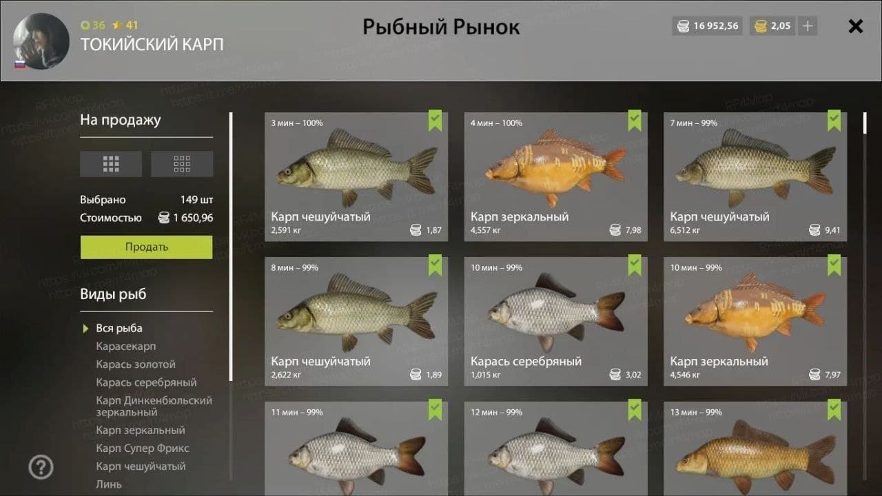 оз. Медное: фарм, трофей