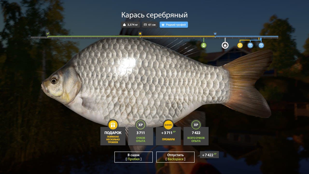 оз. Комариное: трофей