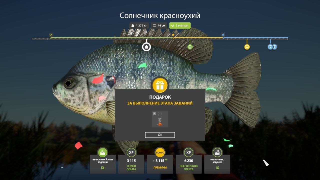оз. Лосиное: задания