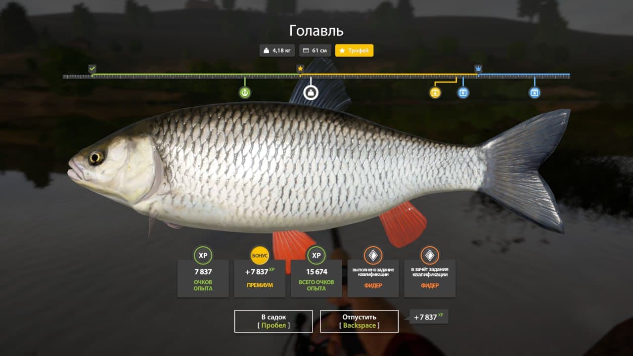 р. Сура: трофей
